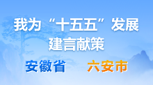 我为“十五五”发展建言献策