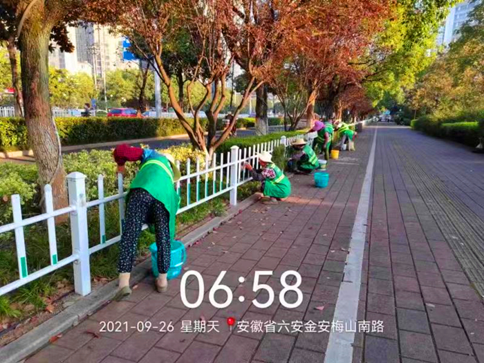 市园林处开展道路绿化带护栏维护专项行动