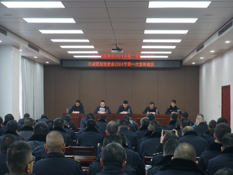 六安市城市管理行政执法局