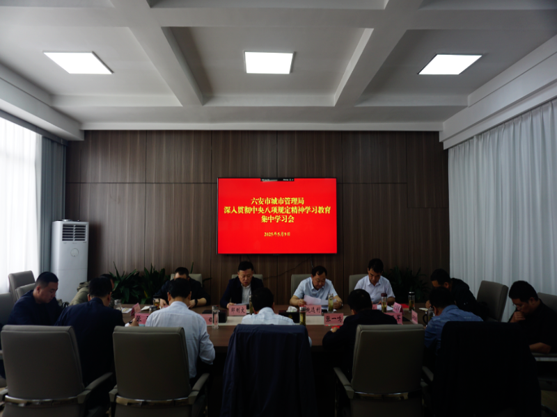 市城管局召开深入贯彻中央八项规定精神学习教育集中学习会暨工作推进会